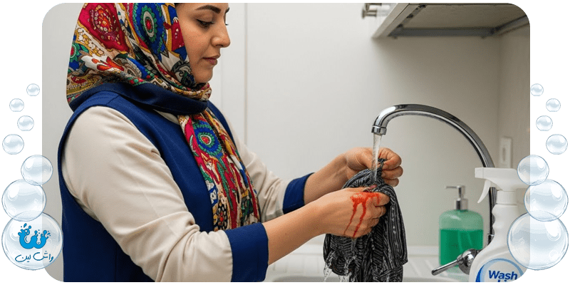 پاک کردن لکه میوه از روی لباس