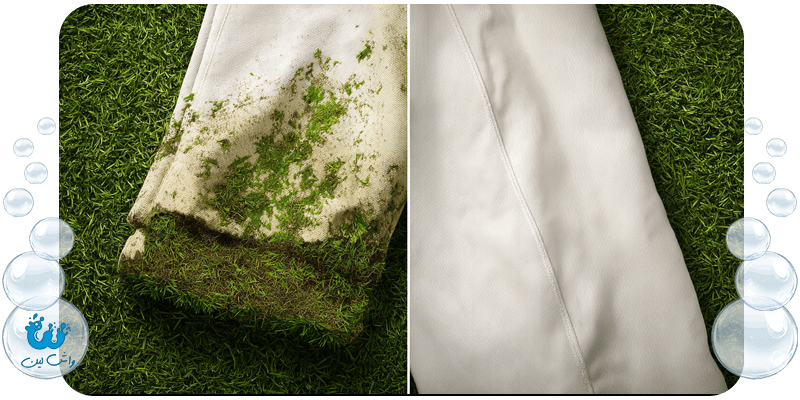پاک کردن لکه چمن