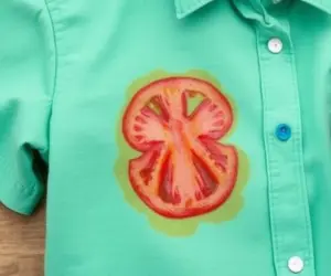 آموزش پاک کردن لکه سس گوجه فرنگی از لباس