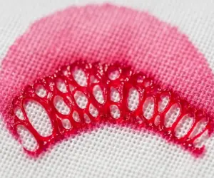 از بین بردن لکه انار