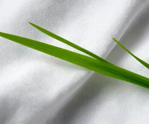 پاک کردن لکه چمن