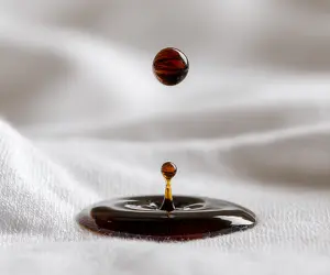 راهنمای کامل لکه‌بری: از قهوه تا چربی